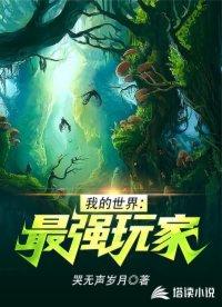 我的世界：最强玩家