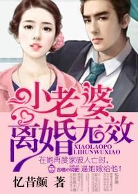 老婆,离婚无效!