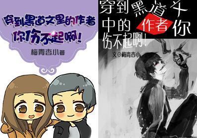 穿到黑道文裏的作者你伤不起啊!