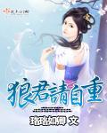 狼君请自重