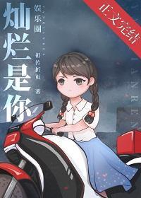灿烂是你[娱乐圈]