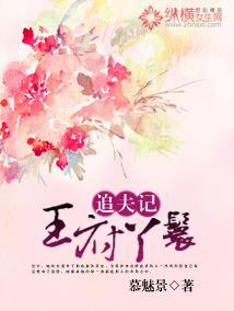 王府丫鬟追夫记