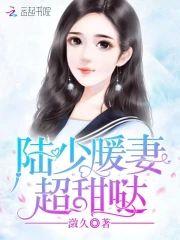 陆少暖妻超甜哒