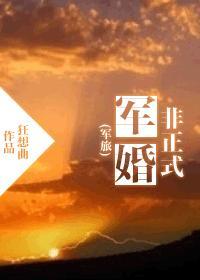 非正式军婚（军旅）