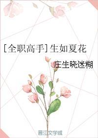 [全职高手]半夏笙歌