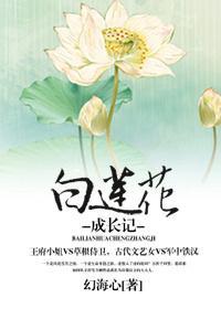 白莲花成长记