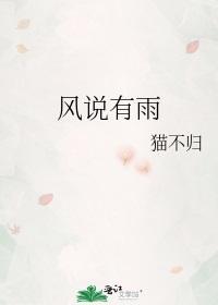 风说有雨