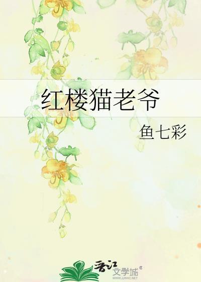 红楼猫老爷