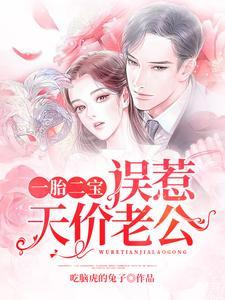 一胎二宝:误惹天价老公
