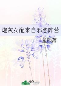 炮灰女配来自邪恶阵营