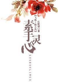 素手灵心