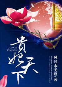 贵妃天下（重生）