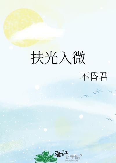 扶光入微