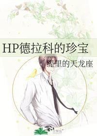 HP德拉科的珍宝