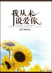 我从未说爱你