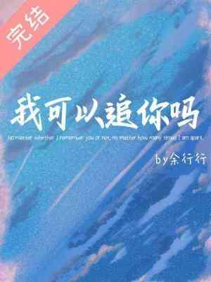我可以追你吗