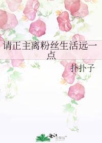 请正主离粉丝生活远一点