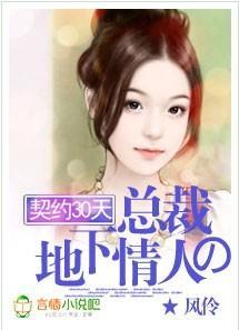 契约30天:总裁的地下情人
