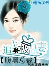 腹黑总裁:追上极品妻