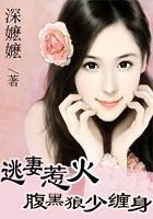 逃妻惹火:腹黑狼少缠身