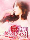 闪婚宠妻:低调老公攻心计