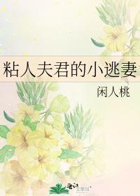 粘人夫君的小逃妻