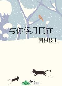 与你候月同在