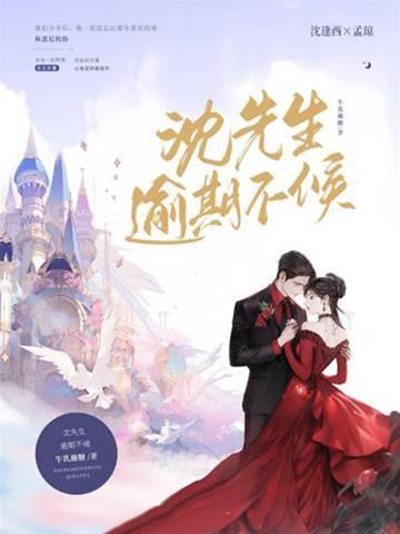 沈先生,逾期不候