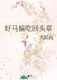 好马偏吃回头草