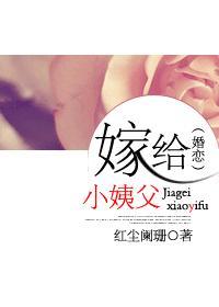 嫁给小姨父(婚恋)