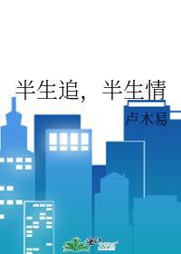 半生追,半生情