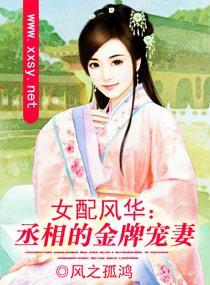 女配风华：丞相的金牌宠妻