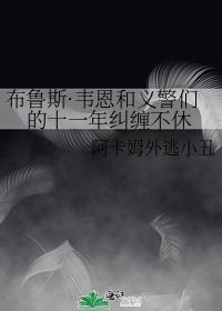 布鲁斯·韦恩和义警们的十一年纠缠不休