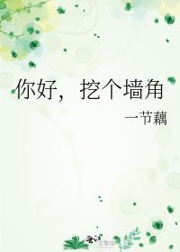 你好，挖个墻角