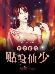 女总裁的贴身仙少