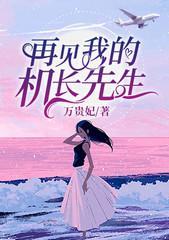再见我的机长先生