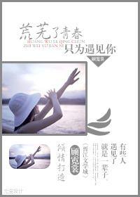 荒芜了青春只为遇见你