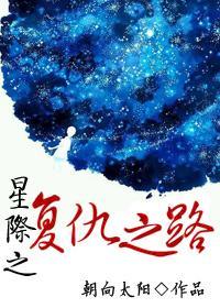 星际之覆仇之路
