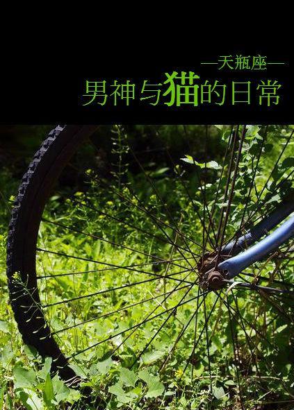 男神与猫的日常