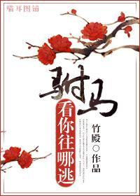 驸马,看你往哪逃