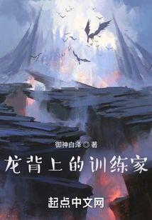 龙背上的训练家