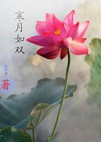 寒月如双