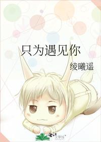 只为遇见你