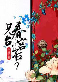 兄臺,春宫否?