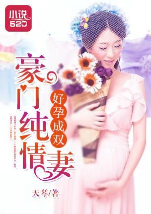 好孕成双:豪门纯情妻