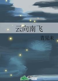云向南飞