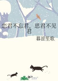 恋君不忘君,思君不见君