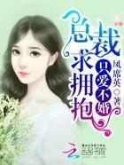 只爱不婚:总裁,求拥抱