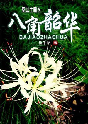 八角韶华