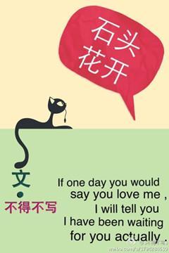 石头花开